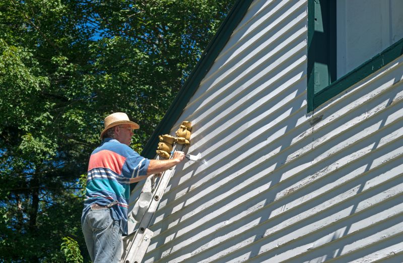 Handyman Exterior Painting