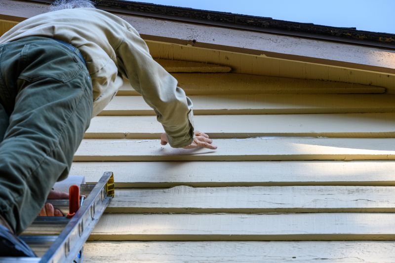 Handyman Exterior Painting